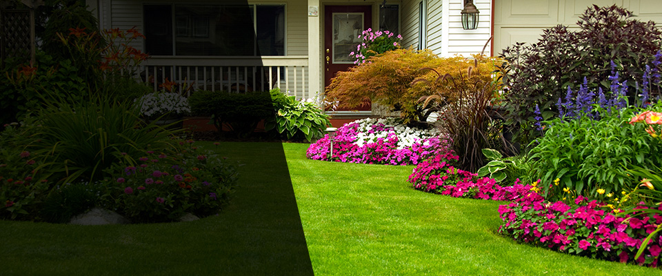 Sun City Landscapers