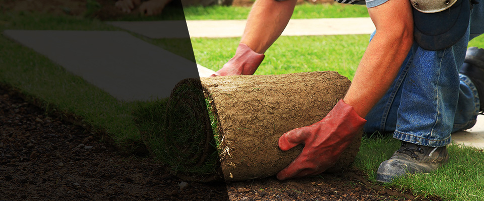 Sun City Landscapers
